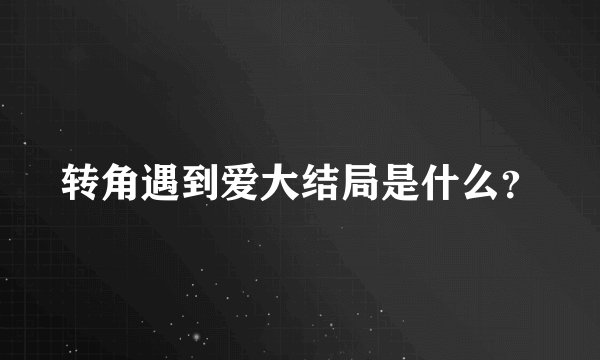 转角遇到爱大结局是什么？