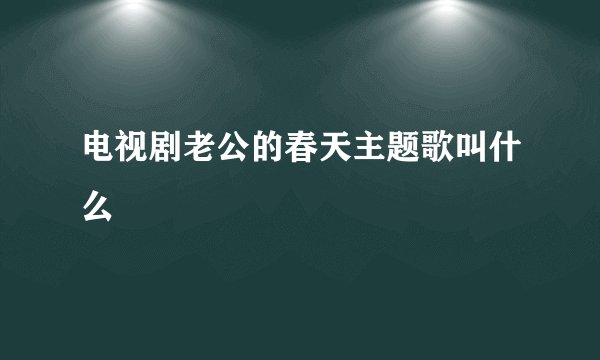电视剧老公的春天主题歌叫什么