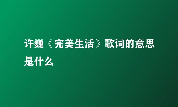 许巍《完美生活》歌词的意思是什么