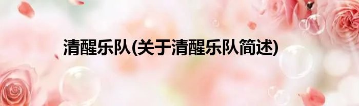 清醒乐队(关于清醒乐队简述)