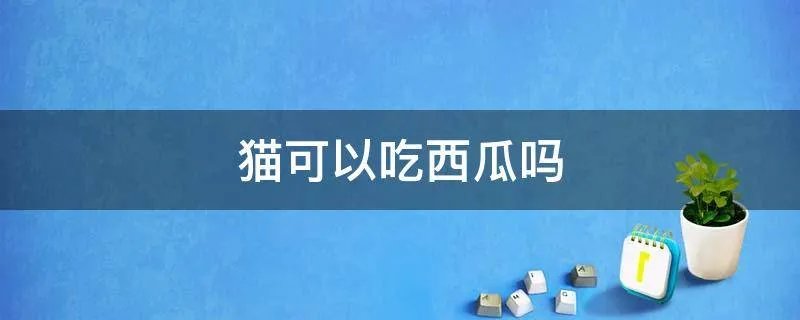 猫可以吃西瓜吗