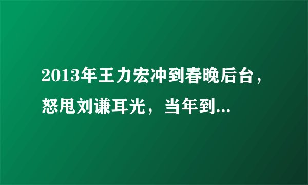 2013年王力宏冲到春晚后台，怒甩刘谦耳光，当年到底发生了什么？