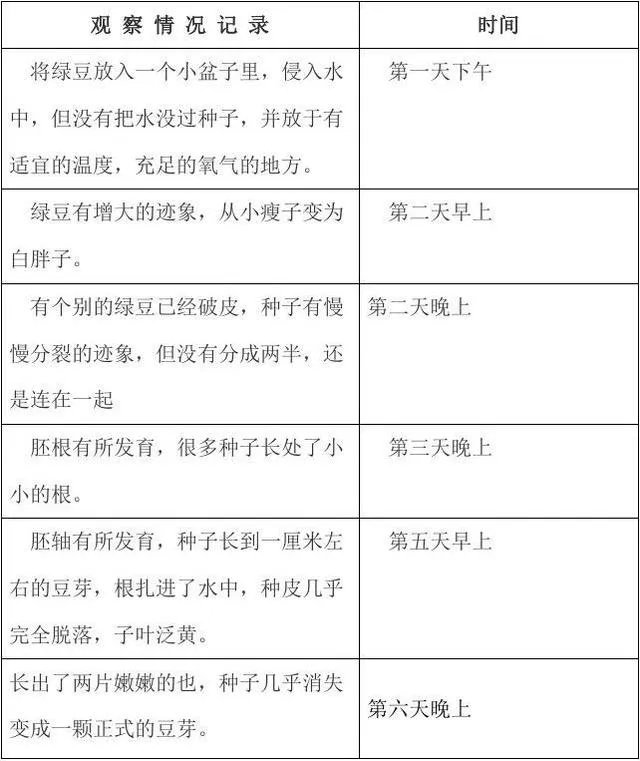 绿豆芽生长情况记录表？