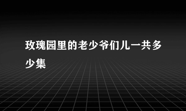 玫瑰园里的老少爷们儿一共多少集