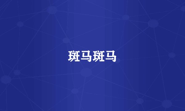 斑马斑马