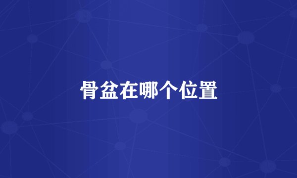 骨盆在哪个位置