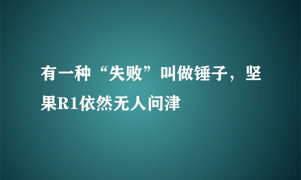 有一种“失败”叫做锤子,坚果R1依然无人问津