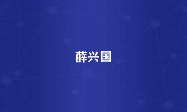 薛兴国