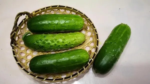 黄瓜的做法