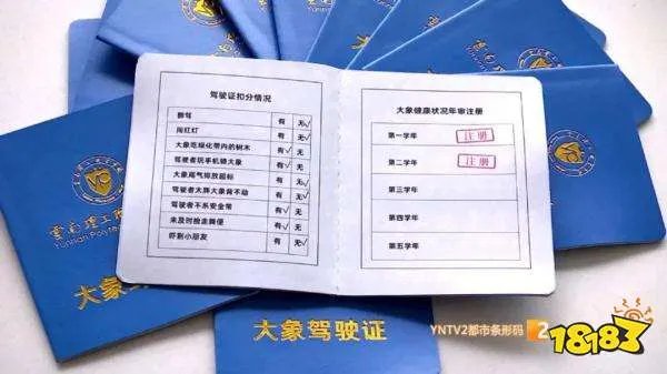 “大象驾驶证”网络走红!到底是啥东东?