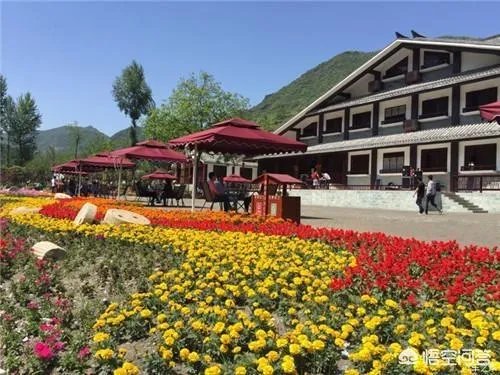 甘肃陇南康县目前有多少个美丽乡村？