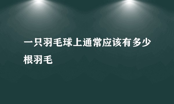 一只羽毛球上通常应该有多少根羽毛