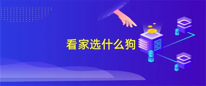 看家选什么狗