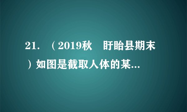 21.(2019秋•盱眙县期末)如图是截取人体的某部位的三种血管的片段,下列说法正确的是( )A.①是动脉 B.②是静脉 C.③是毛细血管