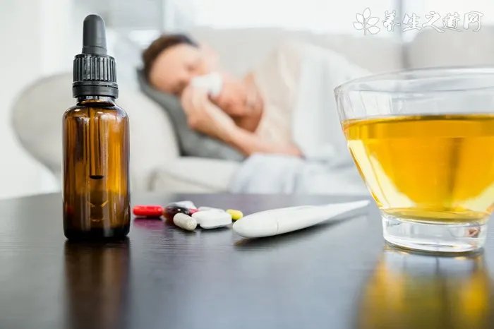 细小病毒怎么治疗?一些细节方面需注意