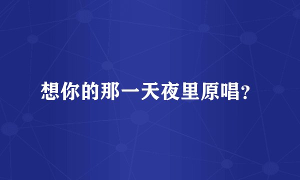 想你的那一天夜里原唱？