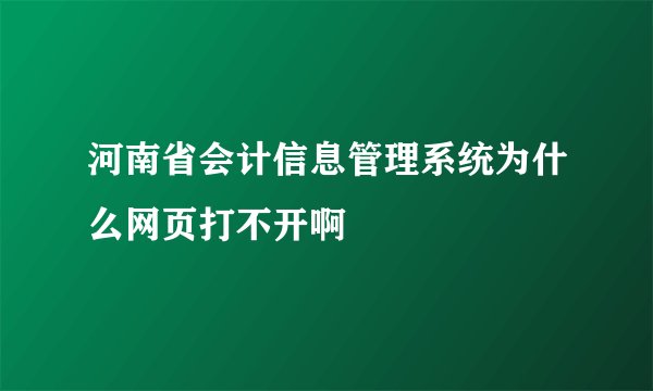 河南省会计信息管理系统为什么网页打不开啊