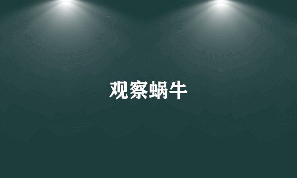 观察蜗牛