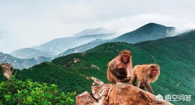 第一批8a级景区