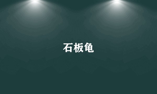 石板龟