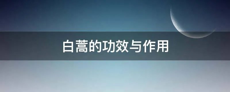 白蒿的功效与作用