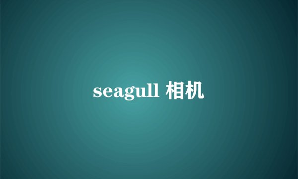 seagull 相机