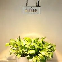 植物生长灯有哪几种类型？