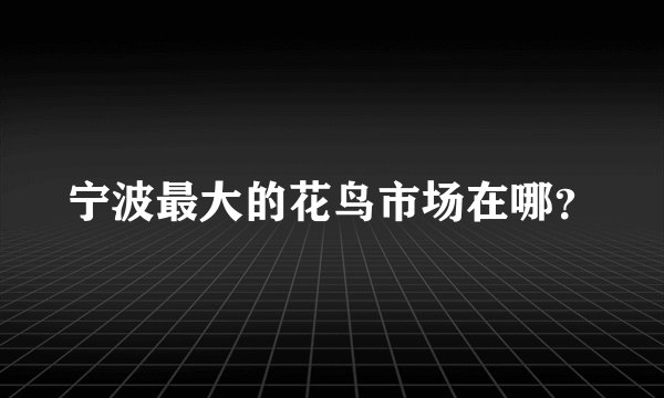 宁波最大的花鸟市场在哪?