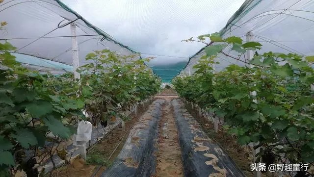 国庆七天去哪旅游比较好?
