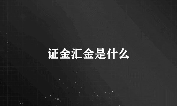 证金汇金是什么
