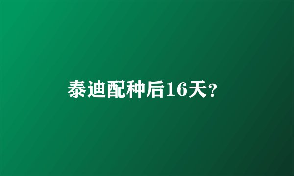 泰迪配种后16天？