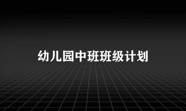 幼儿园中班班级计划