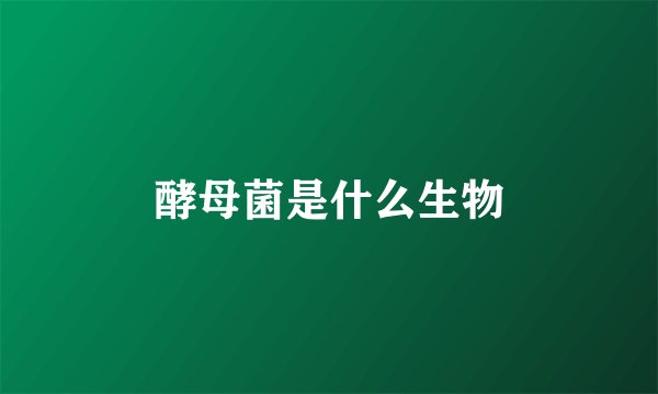 酵母菌是什么生物