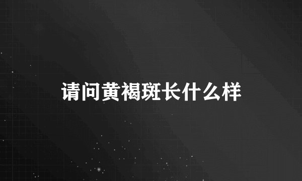 请问黄褐斑长什么样