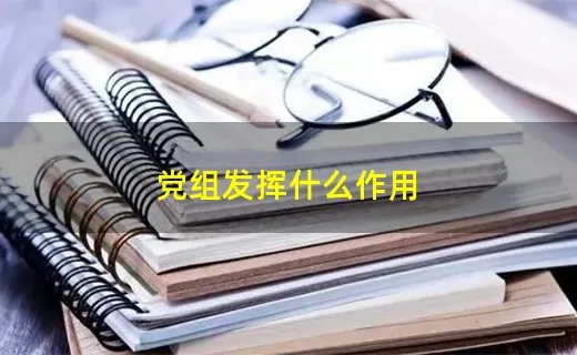 党组发挥什么作用