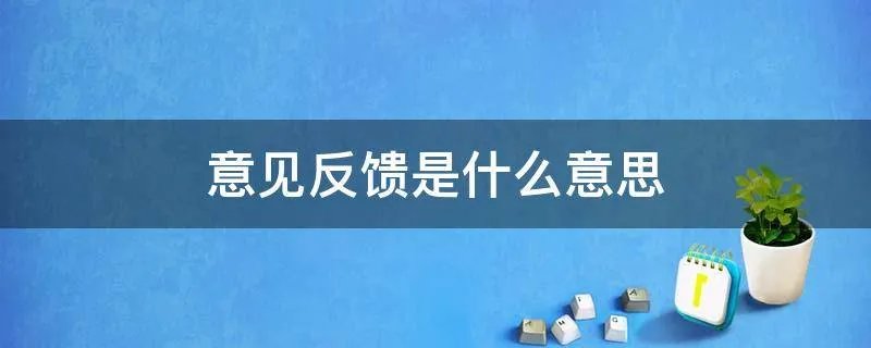意见反馈是什么意思