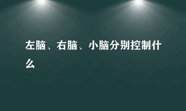 左脑、右脑、小脑分别控制什么
