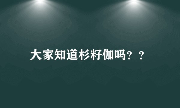 大家知道杉籽伽吗？？