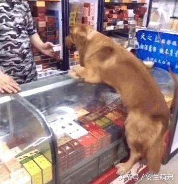 红塔山集团为什么没落了？