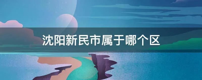 沈阳新民市属于哪个区