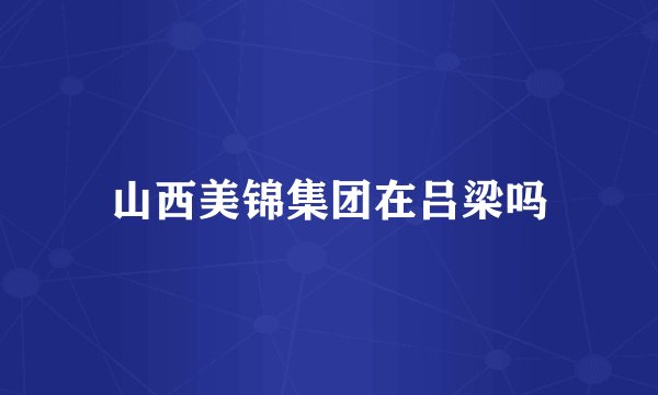 山西美锦集团在吕梁吗