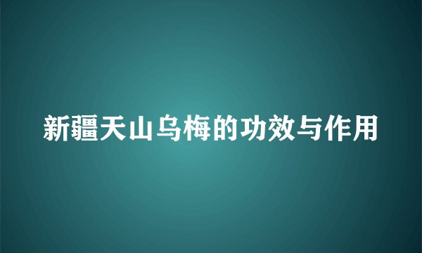 新疆天山乌梅的功效与作用