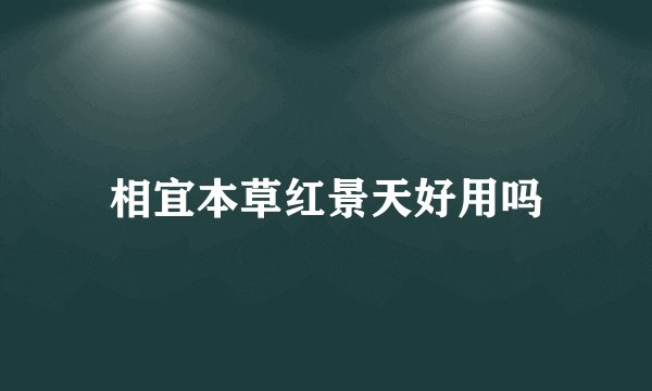 相宜本草红景天好用吗