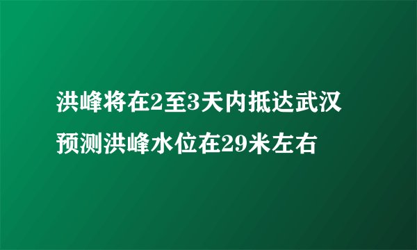洪峰将在2至3天内抵达武汉 预测洪峰水位在29米左右
