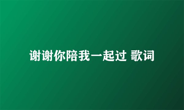 谢谢你陪我一起过 歌词