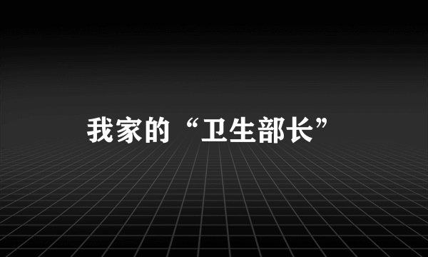 我家的“卫生部长”