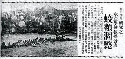 营口坠龙、松花江坠龙,为何历史上有那么多的坠龙事件?