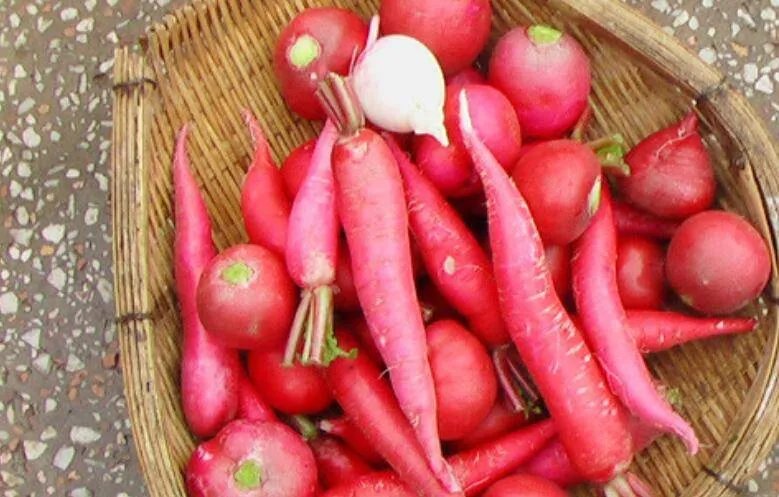 如何制作泡菜