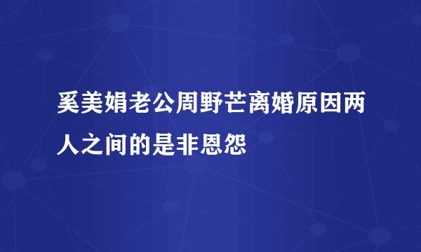 奚美娟老公周野芒离婚原因两人之间的是非恩怨