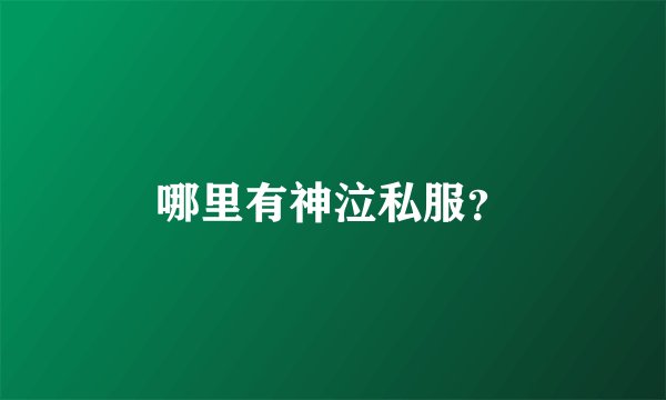 哪里有神泣私服？